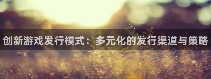 pp电子官网登录注册账号安全吗可靠吗：创新游戏发行模式：多元化的发行渠道与策略