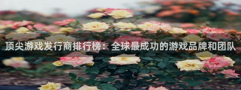 pp电子官网分分彩：顶尖游戏发行商排行榜：全球最成功的游戏品牌和团队