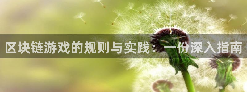 pp电子服装品牌怎么样：区块链游戏的规则与实践：一份深入指南