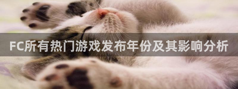 pp电子官网登录注册账号安全吗：FC所有热门游戏发布年份及其影响分析