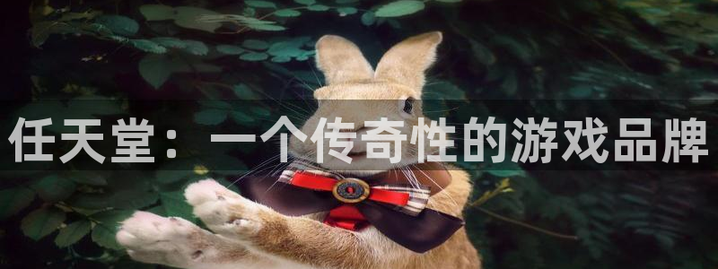pp电子技术有限公司怎么样