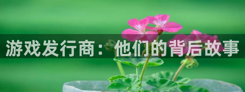 pp电子官网怎么注册账号：游戏发行商：他们的背后故事
