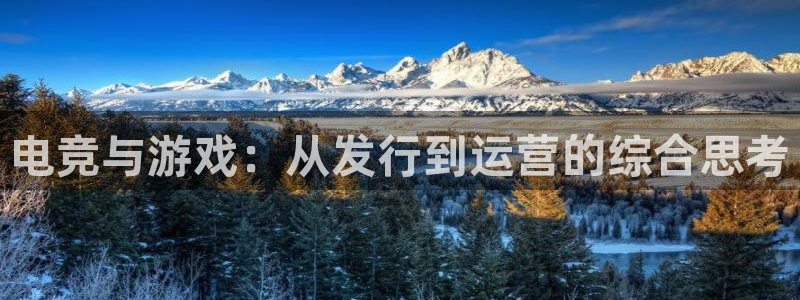 pp电子官网注册平台是什么意思：电竞与游戏：从发行到运营的综合思考