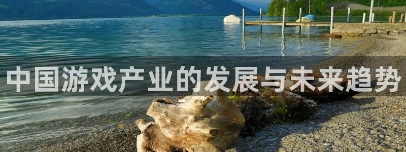 江苏pp电子人力资源有限公司怎么样：中国游戏产业的发展与未来趋势