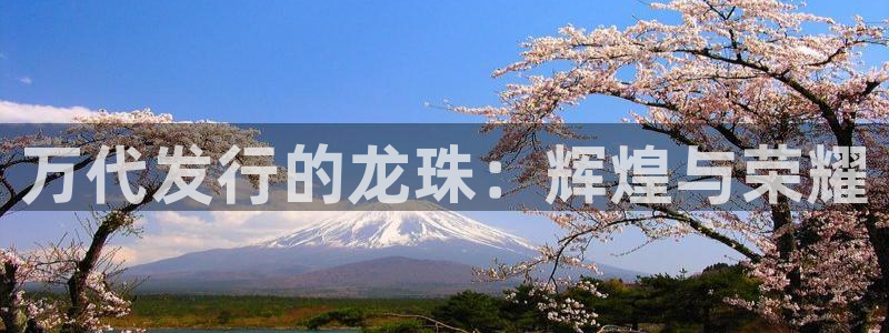 江苏pp电子人力资源有限公司怎么样：万代发行的龙珠：辉煌与荣耀