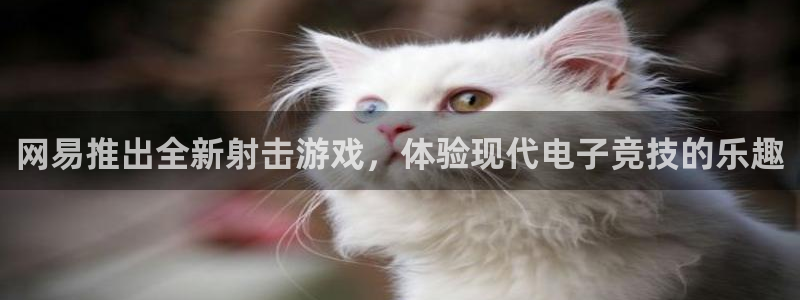 广州pp电子网络科技有限公司：网易推出全新射击游戏，体验现代电子竞技的乐趣
