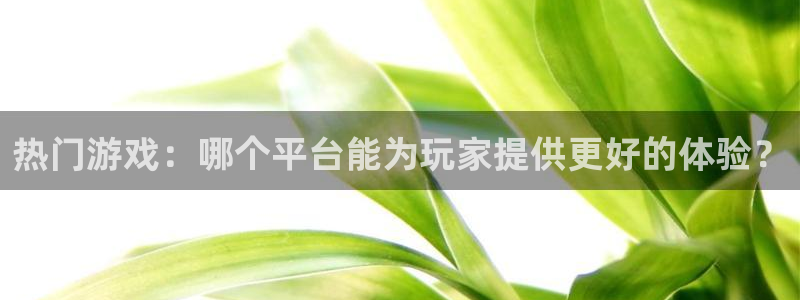 法国pp电子：热门游戏：哪个平台能为玩家提供更好的体验？