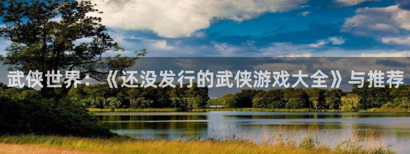 pp电子军团是哪个国家队：武侠世界：《还没发行的武侠游戏大全》与推荐