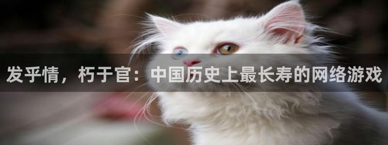 江苏pp电子：发乎情，朽于官：中国历史上最长寿的网络游戏