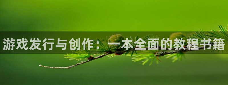 pp电子官网跑路了吗：游戏发行与创作：一本全面的教程书籍