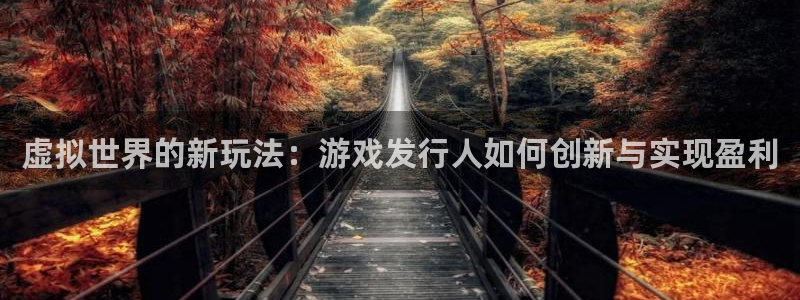广州pp电子网络科技有限公司招聘：虚拟世界的新玩法：游戏发行人如何创新与实现盈利