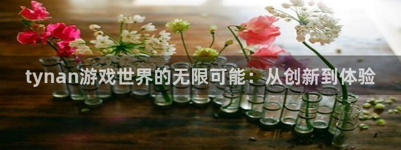 pp电子官网注册平台怎么样啊