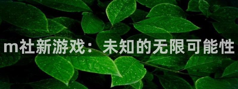 广州pp电子投资：m社新游戏：未知的无限可能性