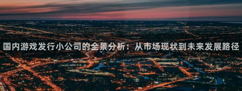 pp电子集团公司怎么样