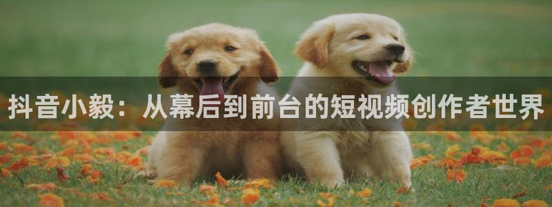 pp电子官网游戏平台高奖金玩法