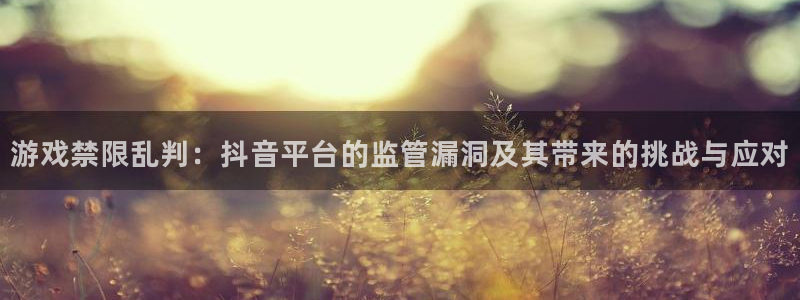 陕西pp电子子文化创意骗局