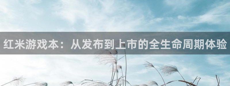 pp电子衣服怎么样